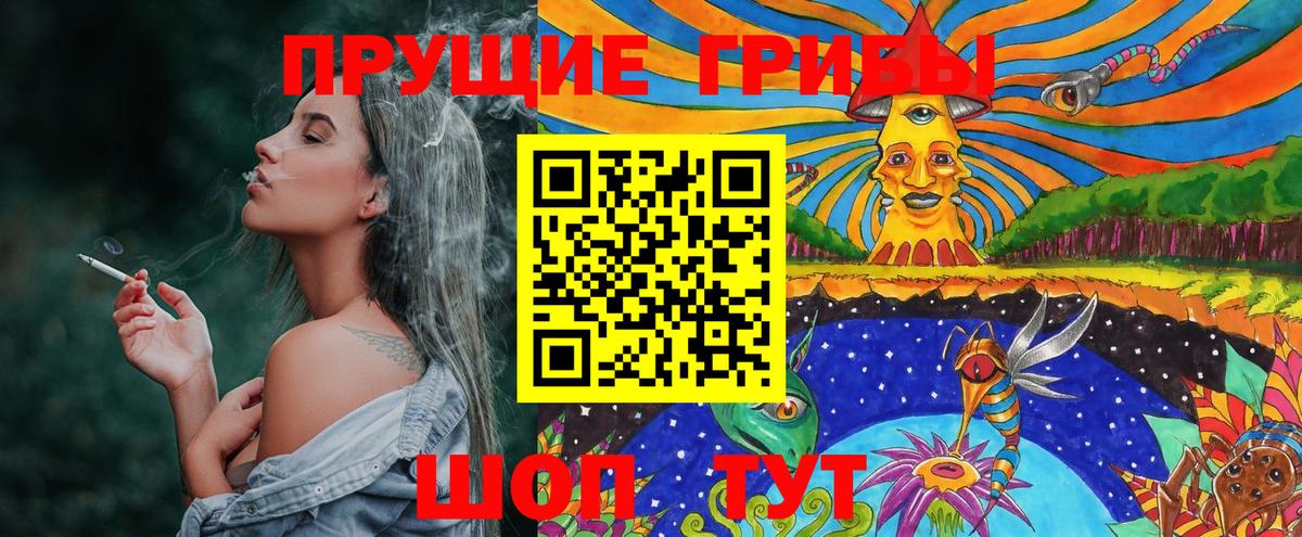 Псилоцибиновые грибы Psilocybine cubensis Семёнов
