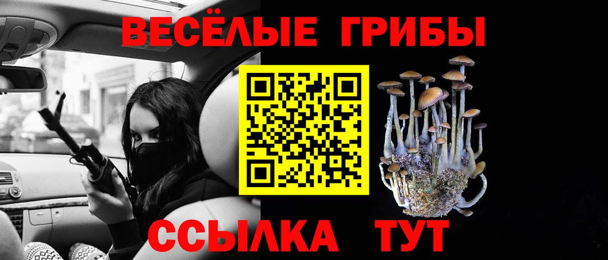 Галлюциногенные грибы Psilocybine cubensis  где купить   Семёнов  Вход с VPN 